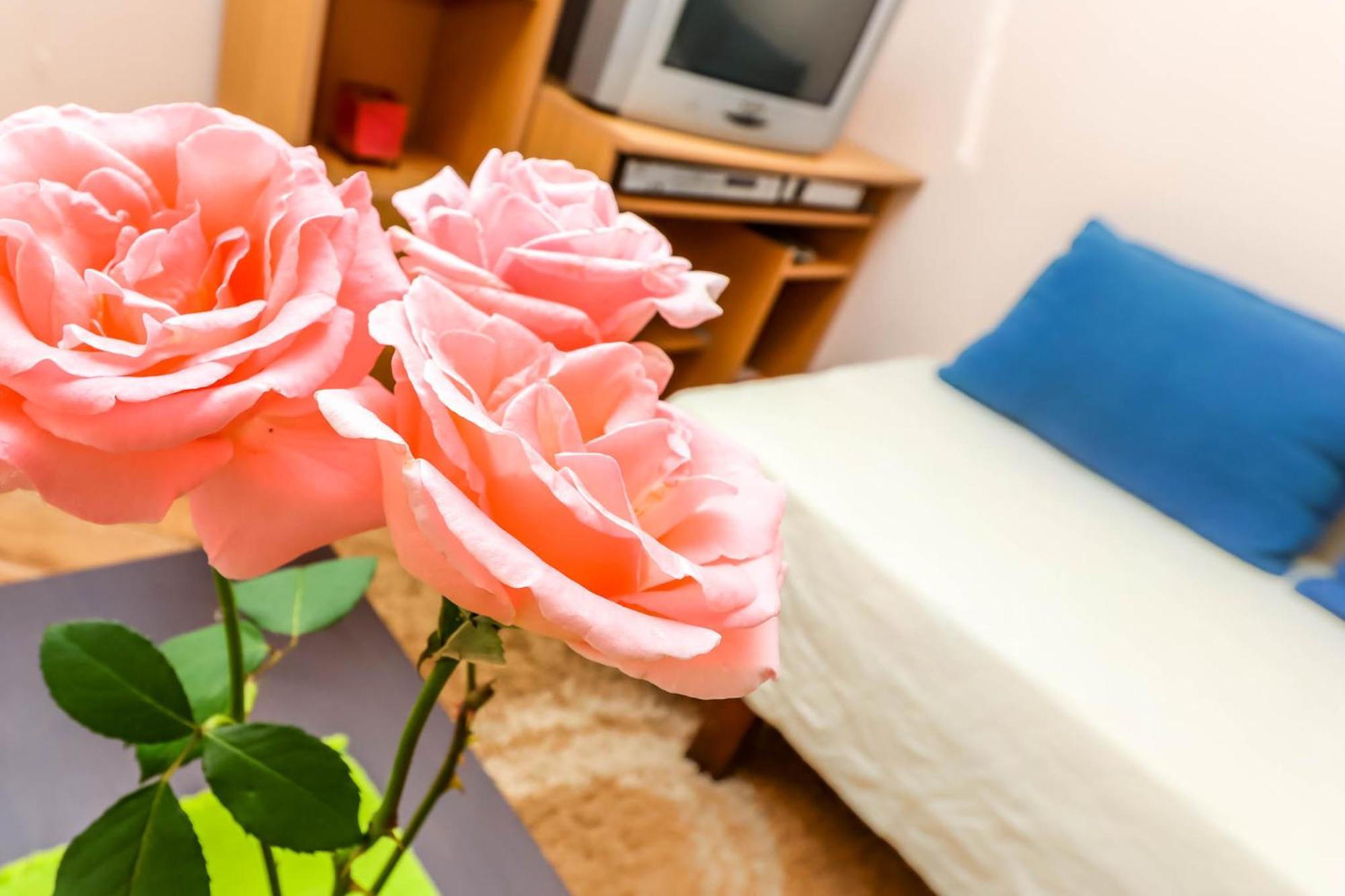 Apartments Zeko Donji Morinj Ngoại thất bức ảnh